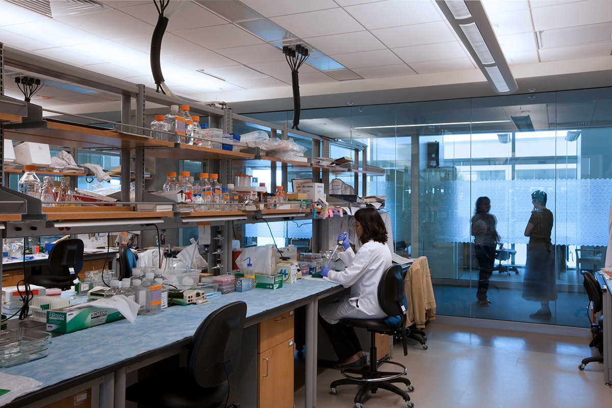 Interior design view at Burnham Institute for Medical Research - Orlando, FL